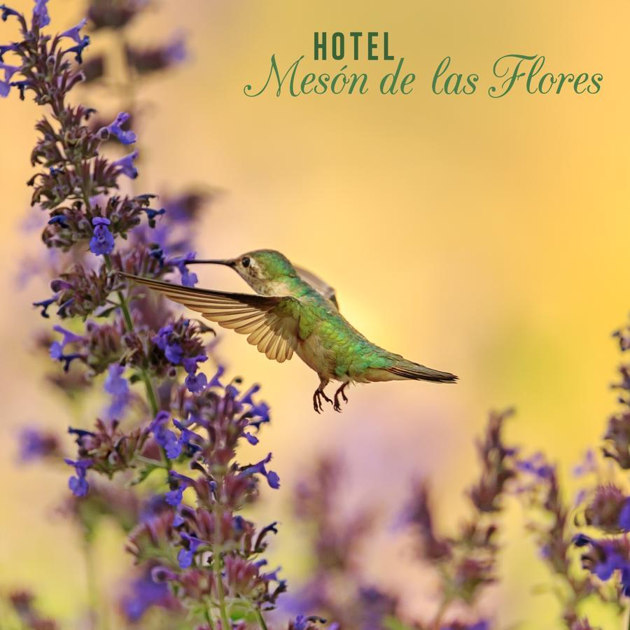 Hotel Meson De Las Flores Armenia  Exteriör bild
