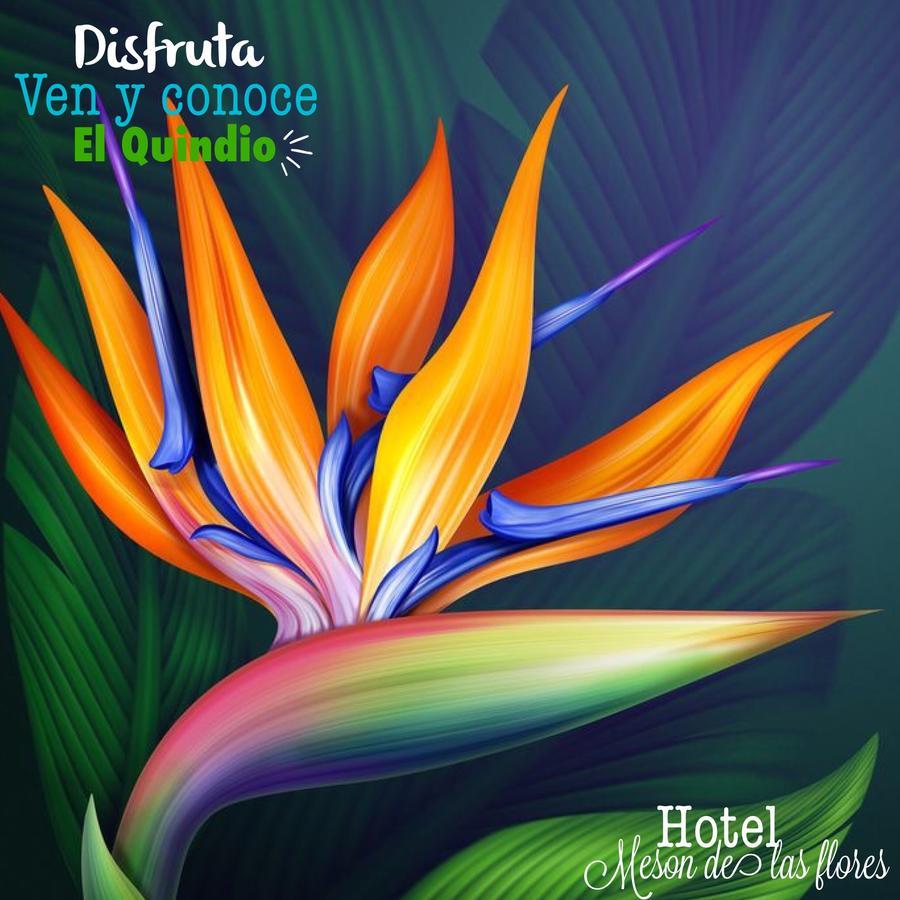 Hotel Meson De Las Flores Armenia  Exteriör bild